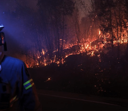 PG em Proteção Civil